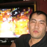 ���������� �������, ���� ������� ���������, 41 ���, ������������ ��� ������, ����� � ���������