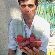  -,   , 52 ,   ,   , c 