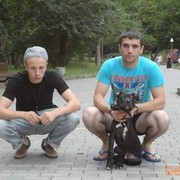 ���������� �������, ���� ������� Giorgi, 40 ���, ������������ ��� ������, ����� � ���������, c�������� ���������