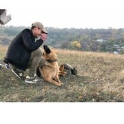 ���������� ��������������, ���� ������� ���������, 33 ����, ������������ ��� ������, ����� � ���������, c�������� ���������