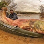 ���������� ������������, ���� ������� �����, 35 ���, ������������ ��� ������, ����� � ���������