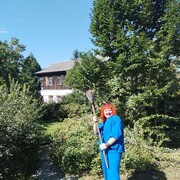  ,   , 50 ,   c , 
