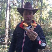  ,   , 50 ,   , 