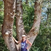 ���������� ������-��-����, ���� ������� ���������, 72 ����, ������������ ��� ������, ����� � ���������, c�������� ���������