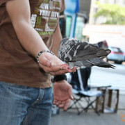 ���������� �����-���������, ���� ������� Daniyar, 40 ���, ������������ ��� ������, ����� � ���������, c�������� ���������