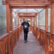 ���������� �����������, ���� ������� ����, 56 ���, ������������ ��� ������