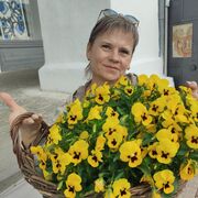  ,   , 53 ,     , c 