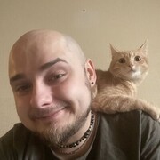 ���������� �����, ���� ������� ���������, 29 ���, ������������ ��� ������, ����� � ���������