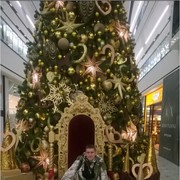 ���������� ��������, ���� ������� ������, 41 ���, ������������ ��� ������, ����� � ���������, c�������� ���������