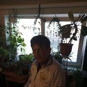  ,   , 56 ,   ,   
