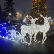 ���������� ������-��-����, ���� ������� ����������, 41 ���, ������������ ��� ������, ����� � ���������