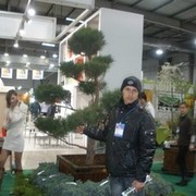 ���������� ����, ���� ������� DAMIR, 32 ����, ������������ ��� ����� � ���������, c�������� ���������