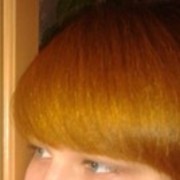 ���������� ��������, ���� ������� ����������, 33 ����, ������������ 