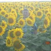 ���������� ���������, ���� ������� �������, 42 ����, ������������ ��� ����� � ���������, c�������� ���������