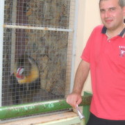 ���������� �������, ������� gia, 43