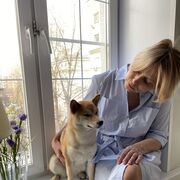  ,   , 53 ,  