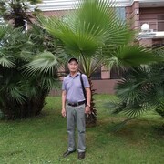   ,   , 65 ,   ,   
