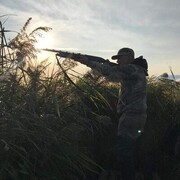 ���������� ���������, ���� ������� ������, 43 ����, ������������ 