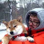 ���������� ������, ���� ����� ������, 21 ���, ������������ ��� ������, ����� � ���������