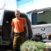 ���������� ������, ���� ������� ������, 36 ���, ������������ ��� ������