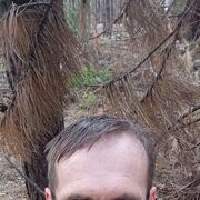 ���������� ������, ���� ������� ������, 43 ����, ������������ ��� c�������� ���������