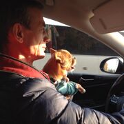 ���������� ������, ���� ������� ������, 50 ���, ������������ ��� ������, ����� � ���������