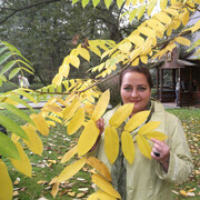 ���������� ������, ���� ������� ������, 52 ����, ������������ ��� c�������� ���������