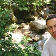  -,   , 41 ,   ,   