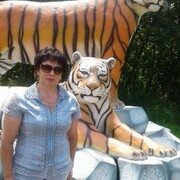 ���������� ��������, ���� ������� ������, 64 ����, ������������ ��� ������, ����� � ���������