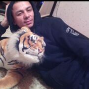 ���������� ����������, ���� ������� ����, 48 ���, ������������ ��� ������, ����� � ���������, c�������� ���������, ���������