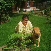 ���������� �����������, ���� ������� ���������, 60 ���, ������������ ��� ������, ����� � ���������, ���������