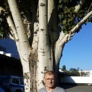  ,   , 62 ,   ,   , c 