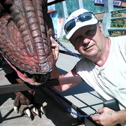 ���������� �������, ���� ������� ��������, 63 ����, ������������ ��� ������, ����� � ���������, c�������� ���������