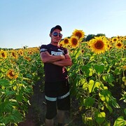 ���������� ������, ���� ������� �����, 50 ���, ������������ ��� ������, ����� � ���������, ���������