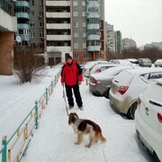 ���������� ������������, ���� ������� ����, 66 ���, ������������ ��� ������, ����� � ���������