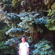 ���������� �������, ���� ������� �������, 39 ���, ������������ ��� ������, ����� � ���������, c�������� ���������