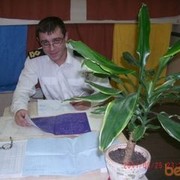  ,   , 44 ,   
