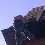 ���������� ������-��-����, ���� ������� �������, 41 ���, ������������ 