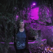  ,   , 55 ,   ,   , c 