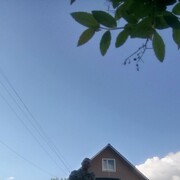 ���������� ����, ���� ������� ������, 50 ���, ������������ ��� ������, ����� � ���������, c�������� ���������