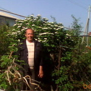  ,   , 74 ,   