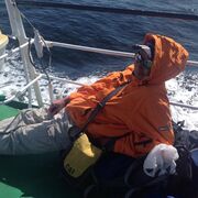 ���������� �����-���������, ���� ������� ����, 48 ���, ������������ ��� ������, ����� � ���������