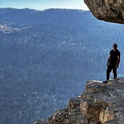 ���������� ���������, ���� ������� ����, 37 ���, ������������ ��� ������, ����� � ���������