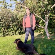 ���������� ������, ���� ������� ������, 36 ���, ������������ ��� ���������