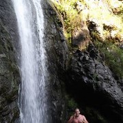 ���������� ������, ���� ������� �������, 38 ���, ������������ ��� ������