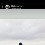 ���������� ������, ���� ����� �����, 24 ����, ������������ ��� ������, ����� � ���������