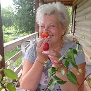 ���������� �����-���������, ���� ������� �������, 55 ���, ������������ ��� ����� � ���������, c�������� ���������