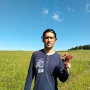  ,   , 40 ,   ,   