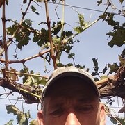  ,   , 50 ,   ,   , c 