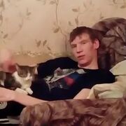 ���������� �����, ���� ������� �����, 29 ���, ������������ ��� ������, ����� � ���������